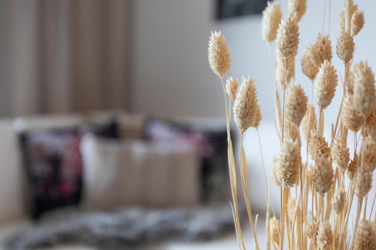 Vasko Luxurious Suites, Hiisi Rovaniemi Exteriér fotografie